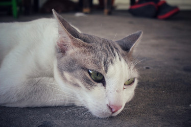 Similar image 9462093