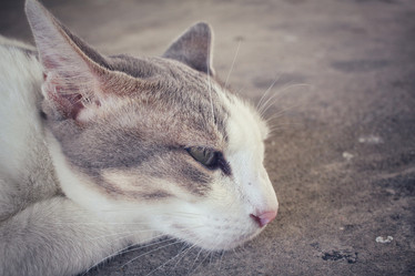 Similar image 9462095