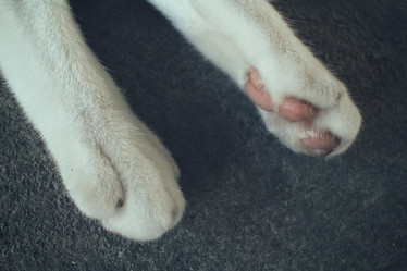 Similar image 9462099