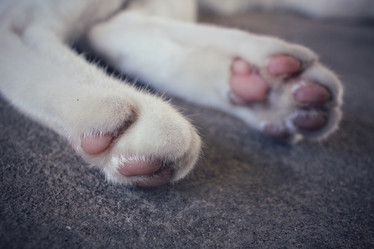 Similar image 9462100