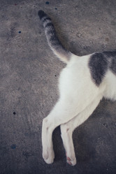 Similar image 9462102