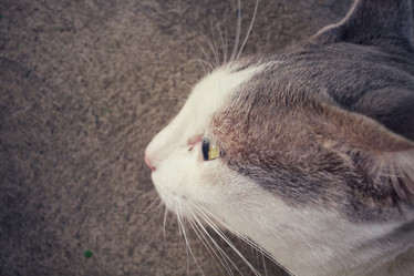 Similar image 9462165