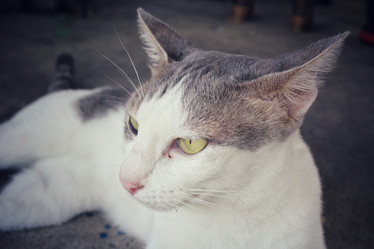 Similar image 9462167