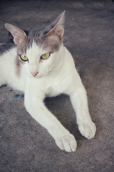 Similar image 9462172