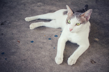 Similar image 9462182