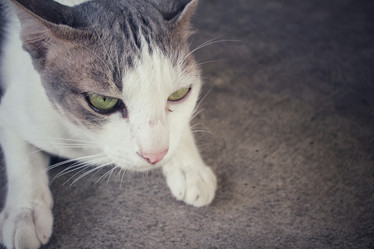 Similar image 9462184