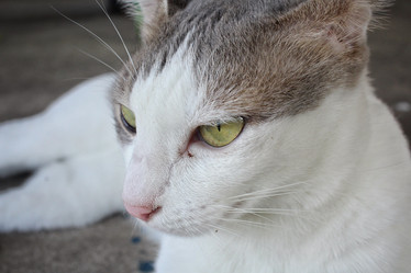 Similar image 9462185