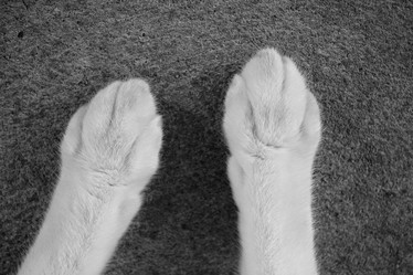 Similar image 9462187