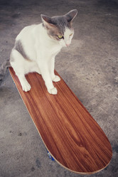 Similar image 9462189