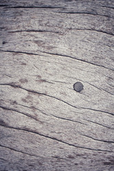 Similar image 9462535