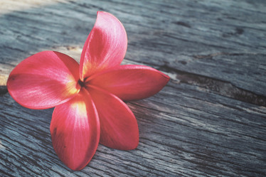 Similar image 9462555