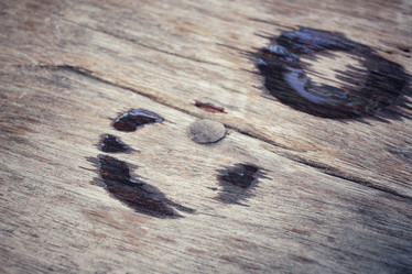 Similar image 9462566