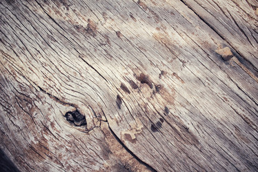 Similar image 9462633