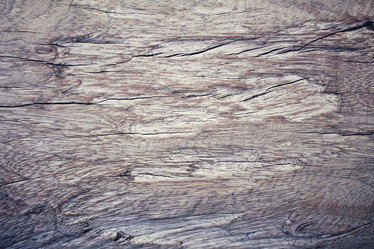 Similar image 9462635