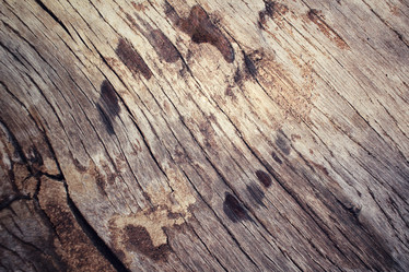 Similar image 9462637