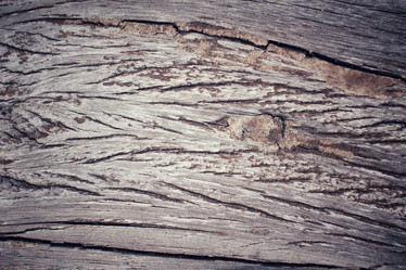 Similar image 9462643