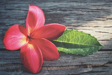 Similar image 9462645