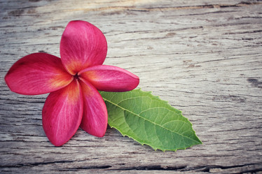 Similar image 9462647