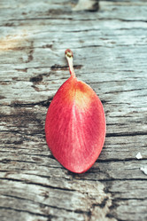 Similar image 9462669