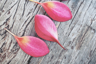 Similar image 9462727