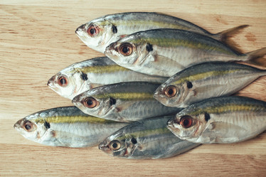 Similar image 9462730