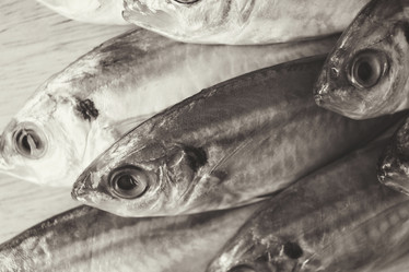 Similar image 9462732