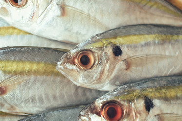 Similar image 9462734