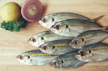 Similar image 9462736