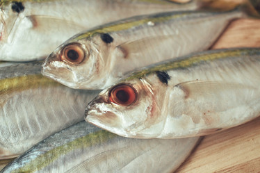 Similar image 9462738