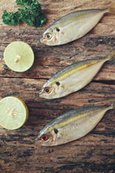 Similar image 9462742