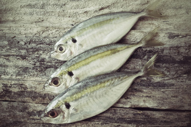 Similar image 9462746