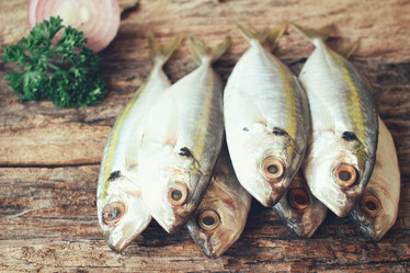 Similar image 9462749