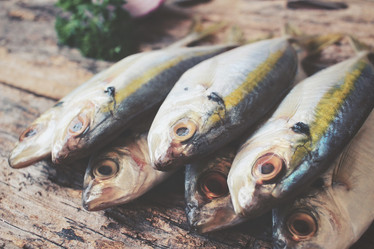 Similar image 9462751