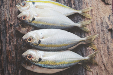 Similar image 9462755