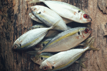 Similar image 9462810