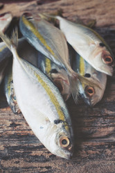 Similar image 9462812