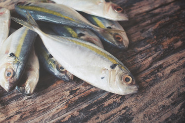 Similar image 9462815