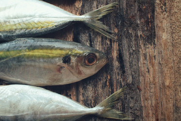 Similar image 9462817