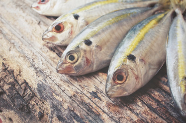 Similar image 9462819