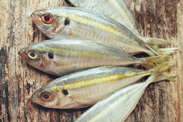 Similar image 9462821