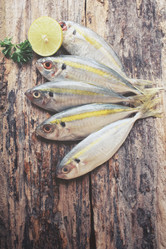 Similar image 9462825