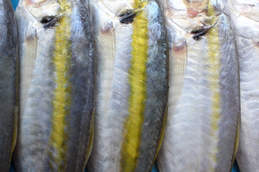 Similar image 9462827