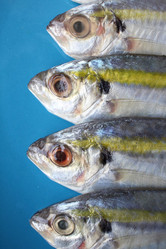 Similar image 9462829