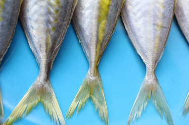 Similar image 9462832