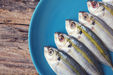 Similar image 9462836