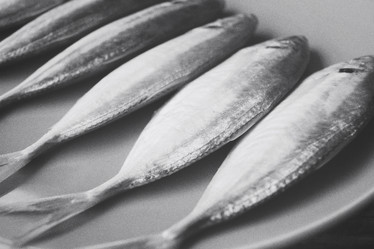 Similar image 9462840