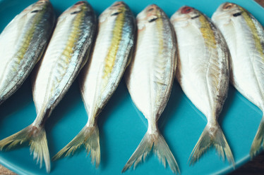 Similar image 9462842