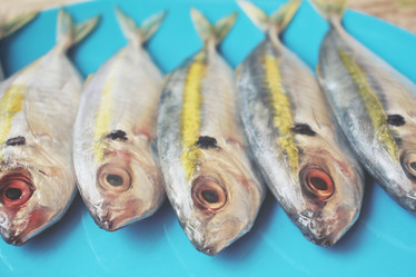 Similar image 9462845