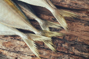 Similar image 9462918