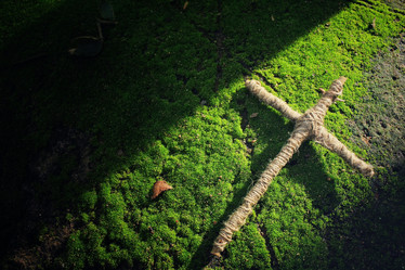 Similar image 9462929